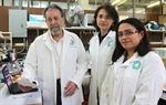 Investigadores del Cinvestav explican causas de recaídas en cáncer de hígado